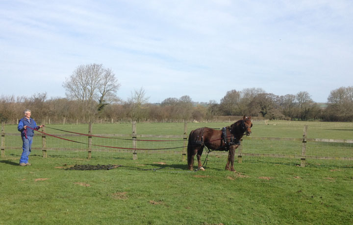 Horse drawn chain harrows