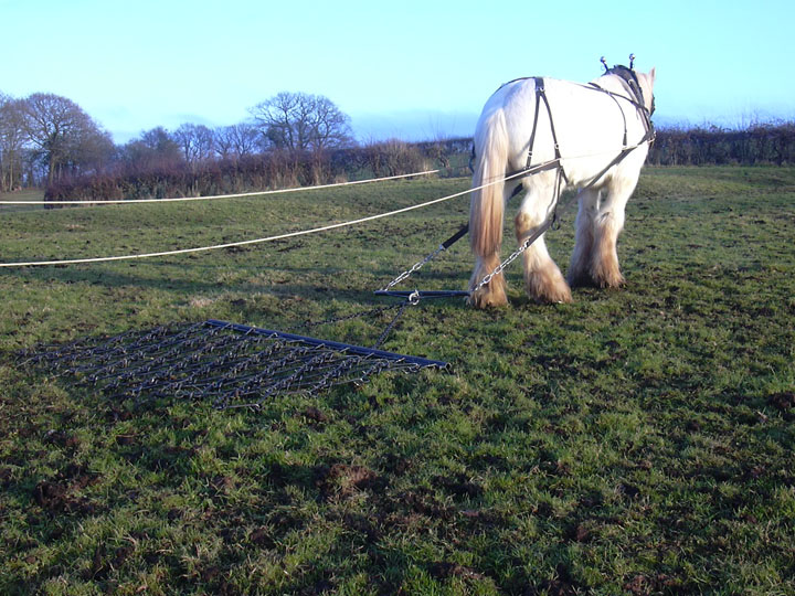 Chain harrows for horses UK sales free mainland delivery